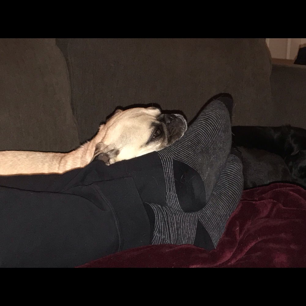 Meet your Posher, Autumn